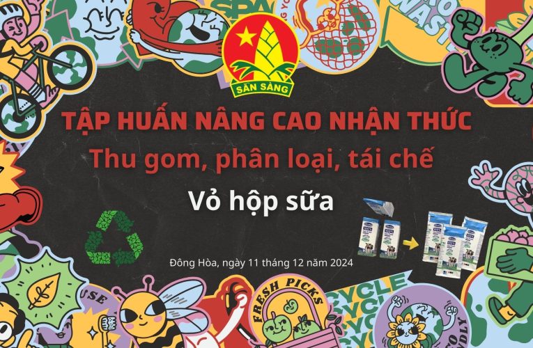 SINH HOẠT ĐỘI NĂM HỌC 2024-2025
